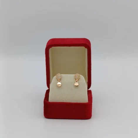 Zircon Gem Round Shaped Golden Earrings